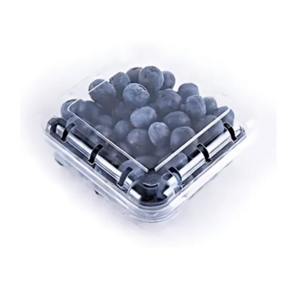 Blueberries (125g Box)